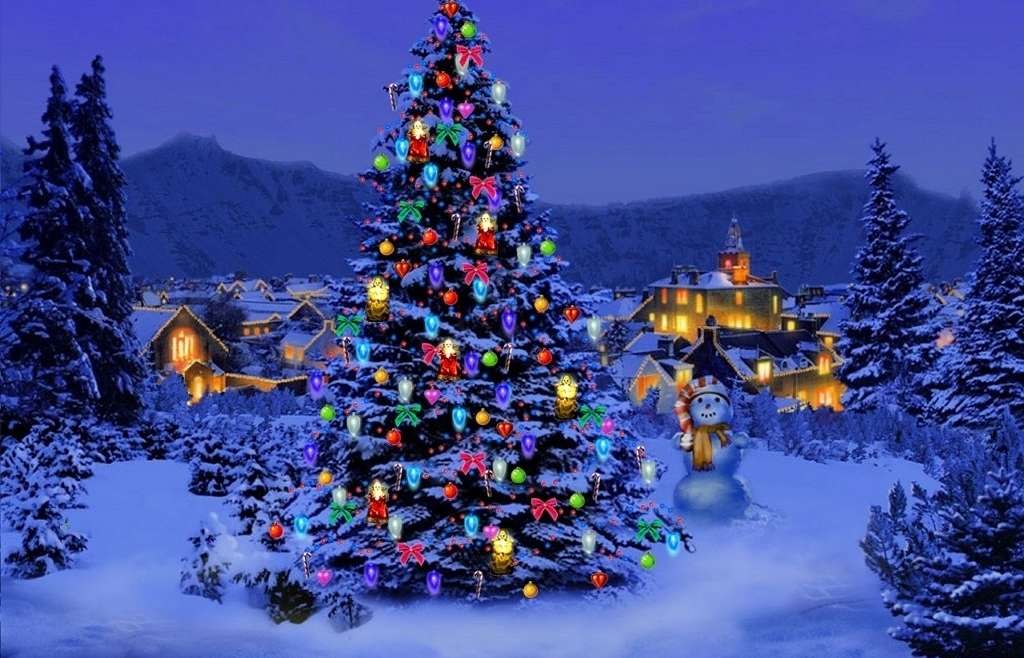 Christmas Tree TLC